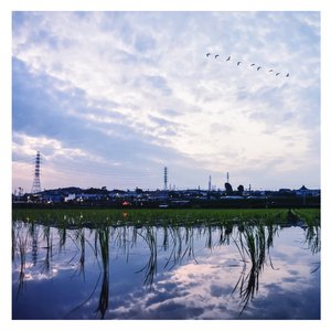 同性恋搞鸡视频
