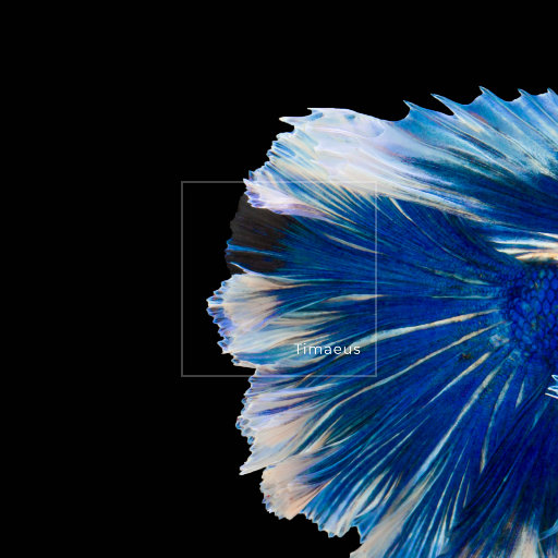 同性恋搞鸡视频
